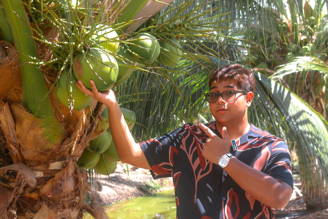 Kelapa – Nadi Kehidupan Bagan Datuk