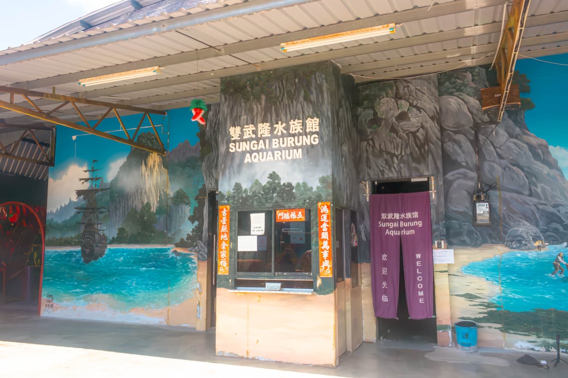 Akuarium Sungai Burung – Permata Mesra Keluarga yang Unik di Bagan Datuk